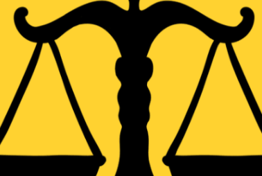 Disability Lawyers Times