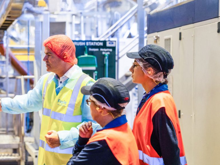 Manufacturing Permit Laws – Facility Approval Operating Conditions and Renewal Duties