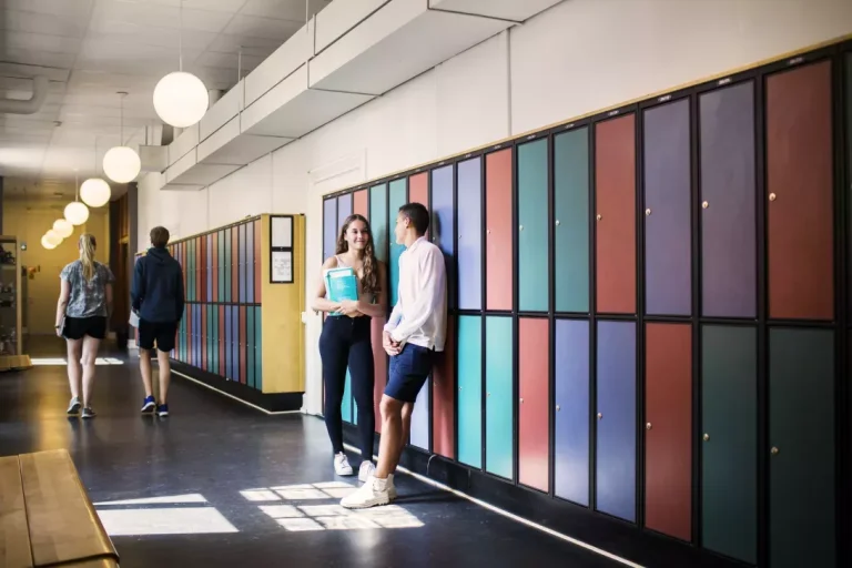 Student Search Laws – School Searches Privacy and Reasonable Suspicion